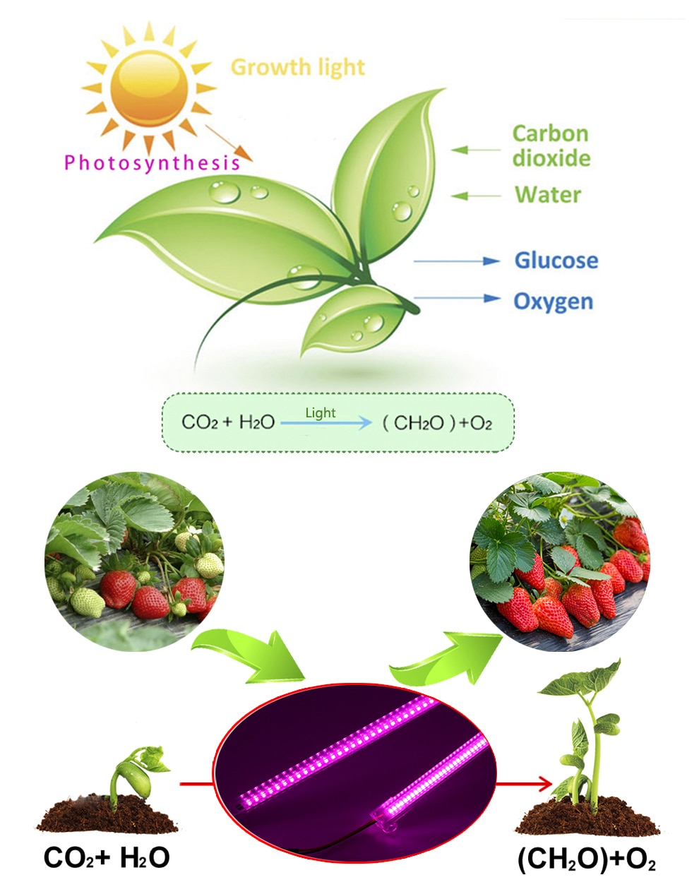 Full Spectrum LED Hydroponics Lamp Full Spectrum LED Hydroponics Lamp