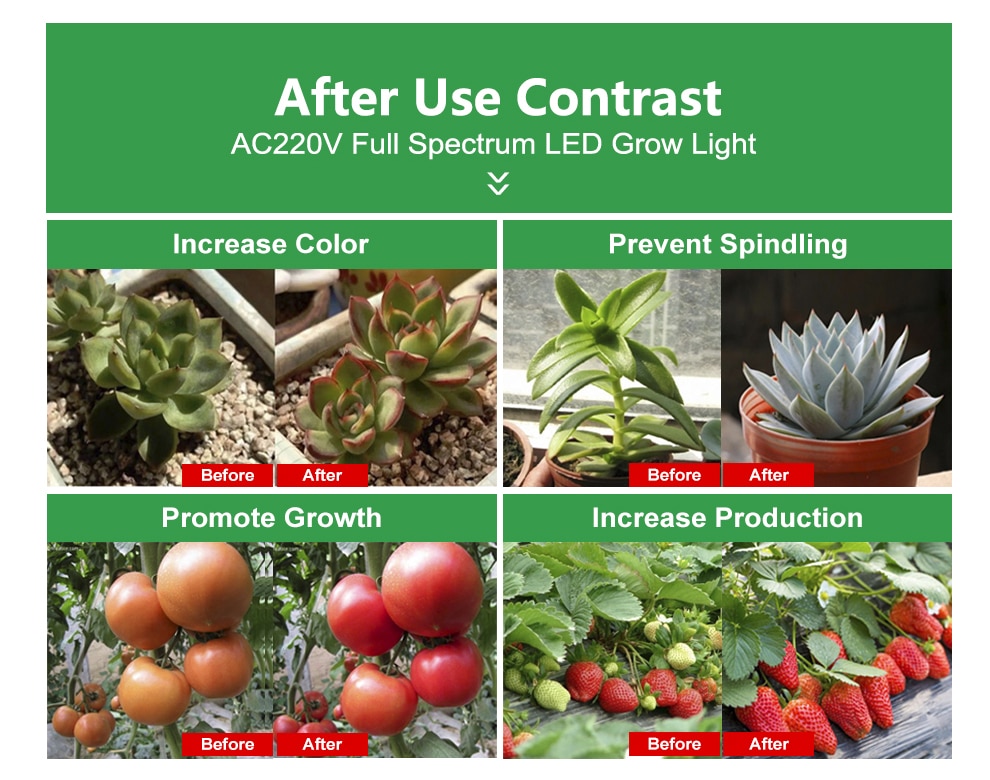 Full Spectrum LED Hydroponics Lamp Full Spectrum LED Hydroponics Lamp